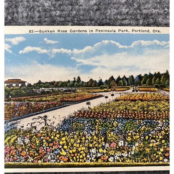 Vintage Oregon Postcard Lot Of 6 Mt Hood Sunken Rose Garden Columbia River Falls - Picture 3 of 16